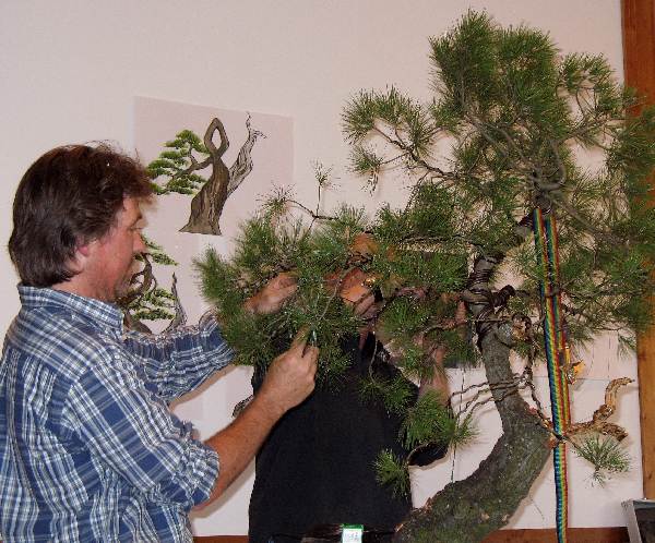 Hier kann man die neue Stammbewegung gut sehen, Ralf und Joachim drahten den Baum ein.
