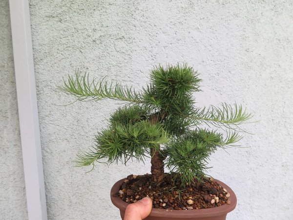 IMG_0022 (Kopie).JPG