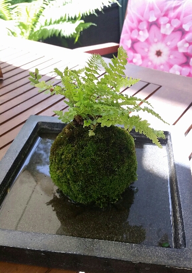 2016-07-21 13.28.33.jpg