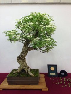 IMG_0962.jpg