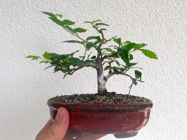 20160819_123111.jpg