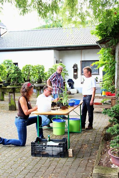 Der Autor findet sein Werk zum „niederknien“ und wird nur kritisch beschaut.