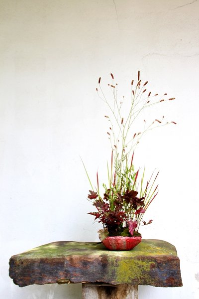 Heuchera + Blutgras + Wiesenknopf ꞌTannaꞌ