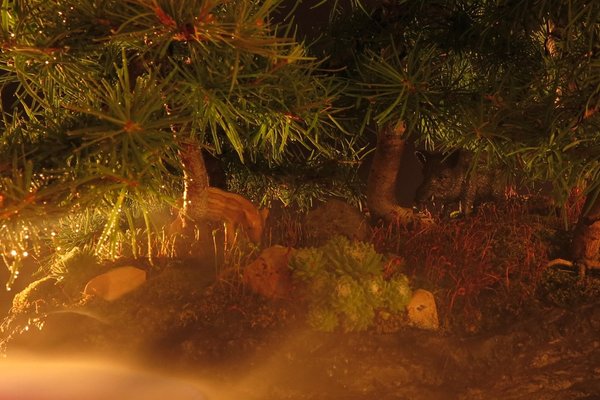 2016-08-23-wildschweine_.jpg
