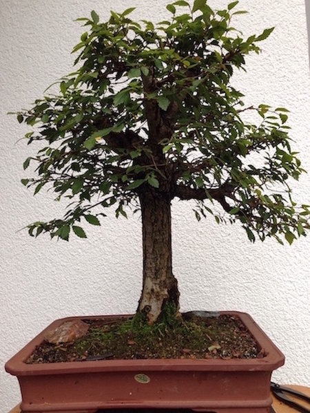 2014-09-21 -FU-1.jpg