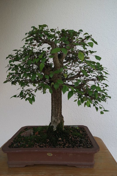 2015-06-26 -1-vo.jpg