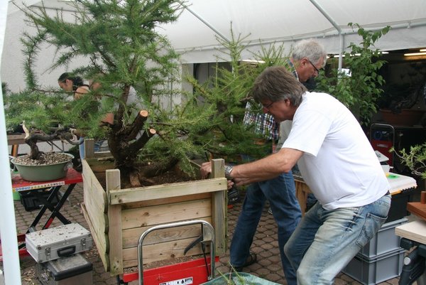 comp_IMG_1287.jpg
