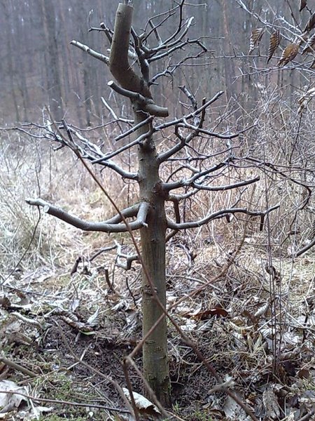 21022012570.JPG