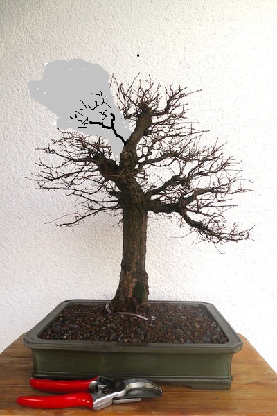 2016-04-04 -7-Größenvergleich (400x600).jpg