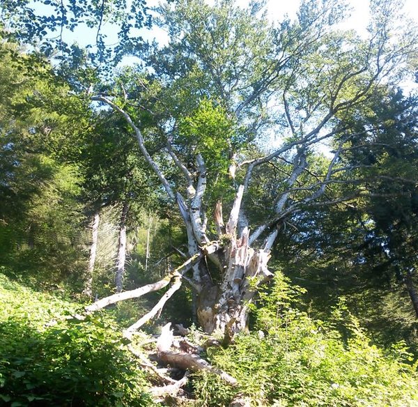 20160828_095844.jpg
