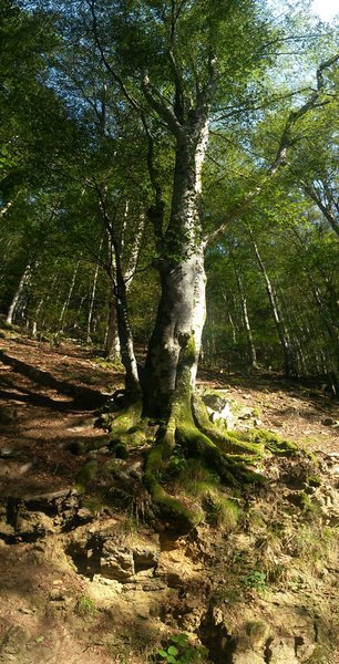 20160828_100249.jpg