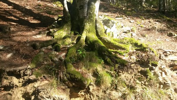 20160828_100309.jpg