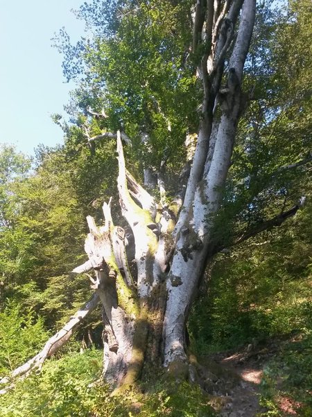 20160828_095942.jpg