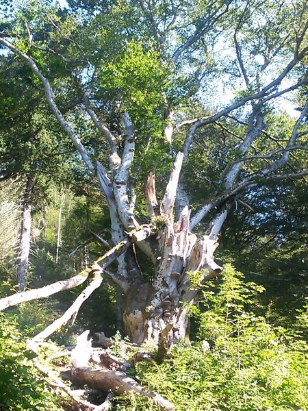 20160828_095844 2.jpg