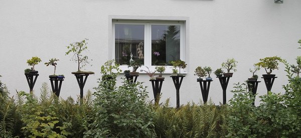 Einzelstelen, Standort mit 0,5 Tag Sonne