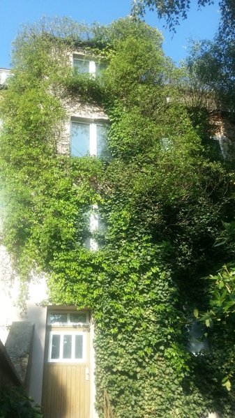 2016-09-06 Efeu Hof02.jpg
