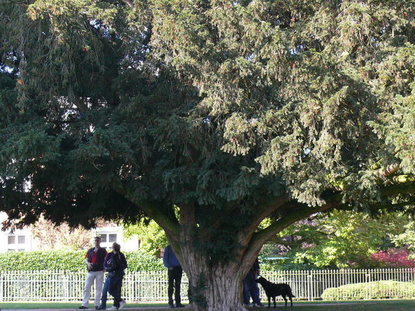 P1110458k.JPG