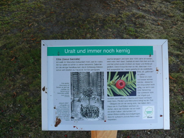 P1110462k.JPG