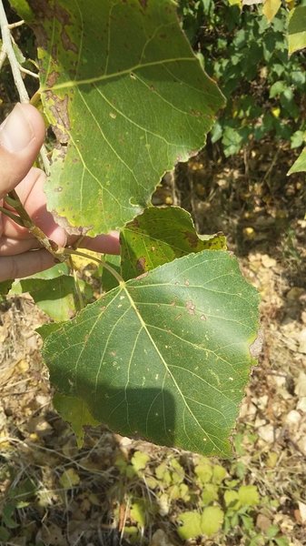 20160915_121959.jpg