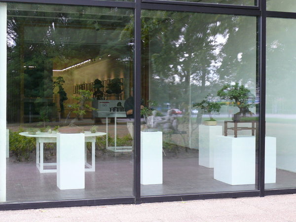 P1170241k.JPG