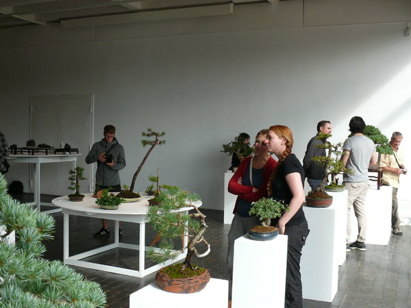 P1170161k.JPG