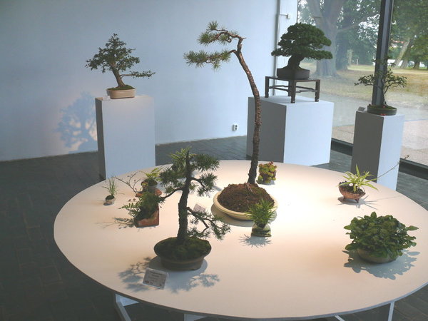 P1170213k.JPG