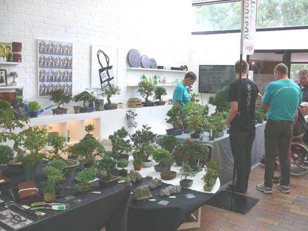Händlerstand vom Bonsaigarten Bentfeld (Lübeck)