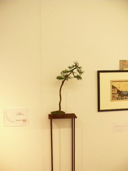 P1170332k.JPG