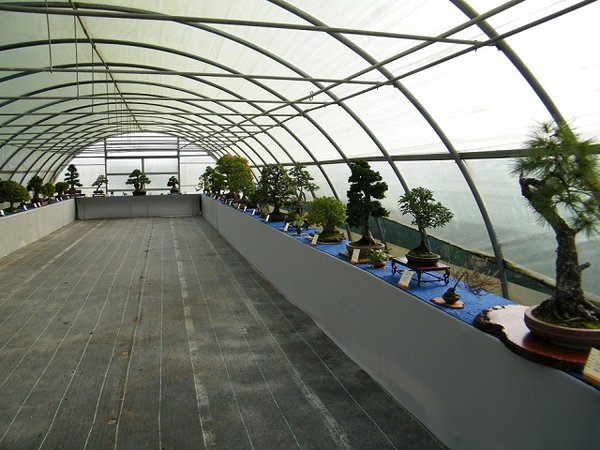 DSCF8115.JPG
