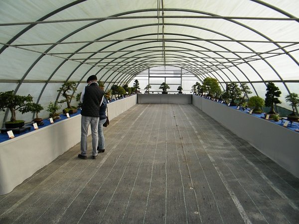 DSCF8116.JPG