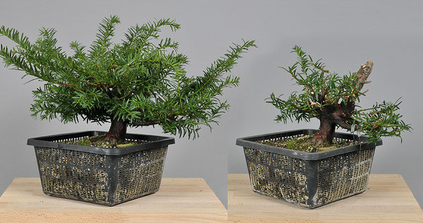 FS3_0819.jpg