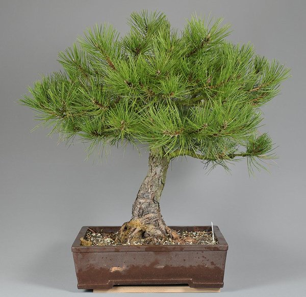 FS3_0821.jpg