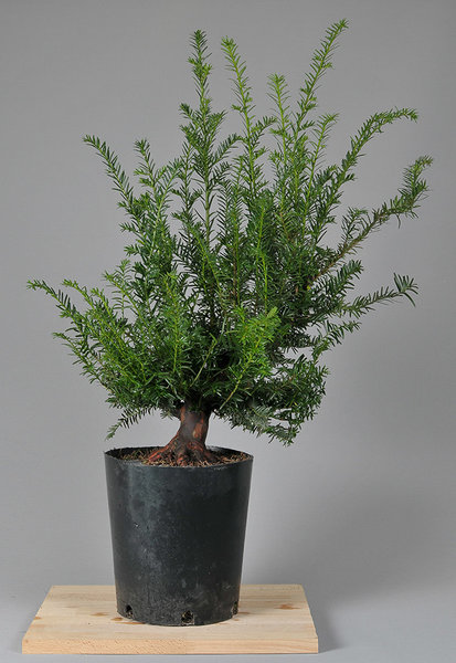 FS3_0828.jpg