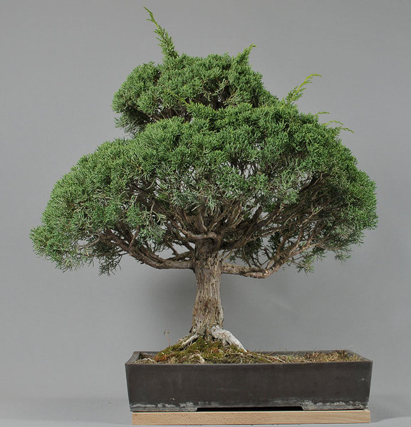 FS3_0847.jpg