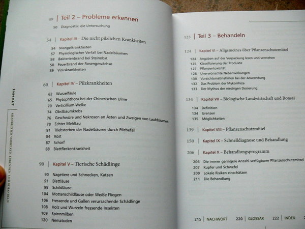 P1170511k.JPG