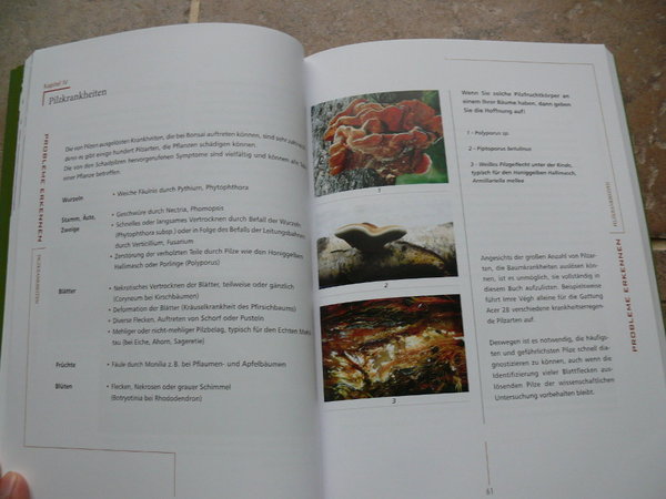 P1170513k.JPG