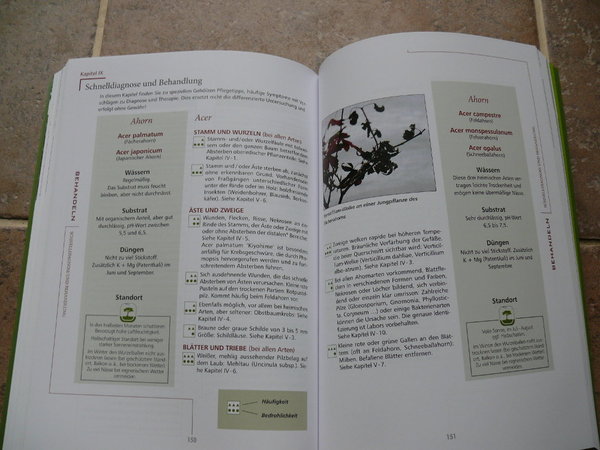 P1170516k.JPG