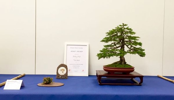 FullSizeRender-3.jpg