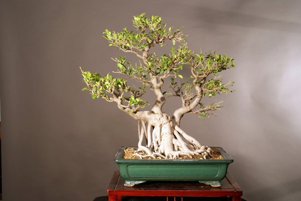 August 2013