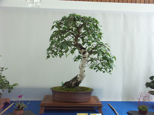 600_PICT0046.jpg