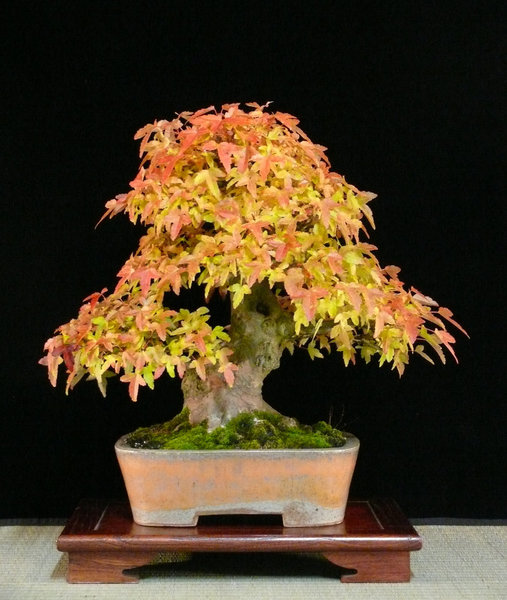 P1170663k.JPG