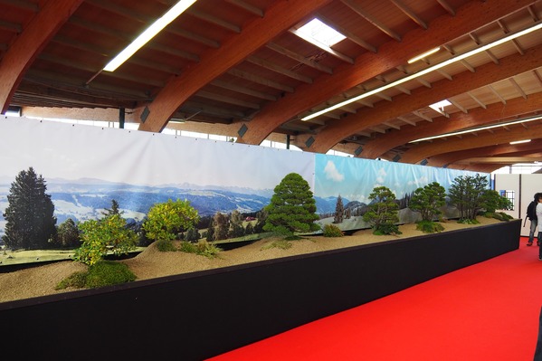 Panorama1.jpg