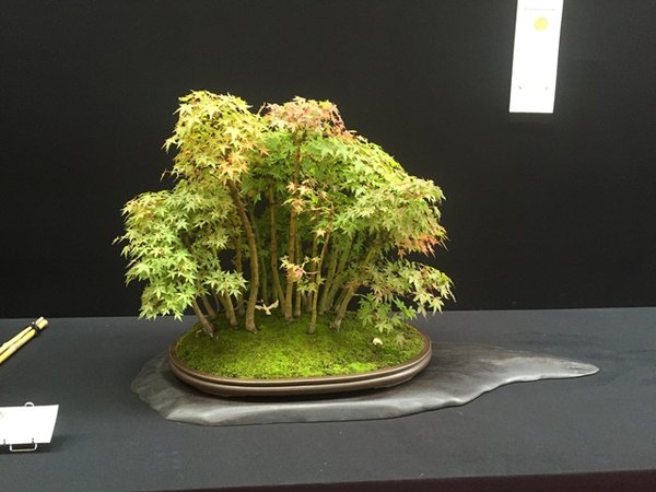 IMG_0894.JPG