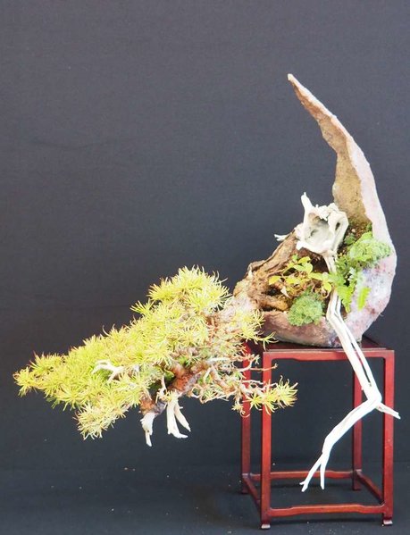Baum23.jpg
