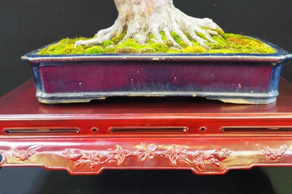 Detail3.jpg