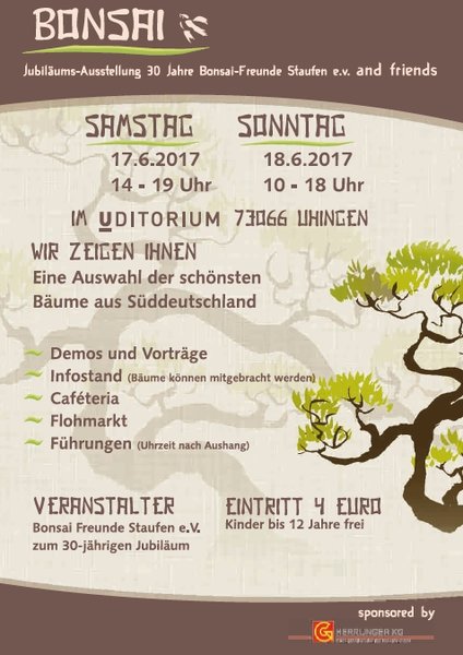 Jubi_ausstellung_2017.jpg