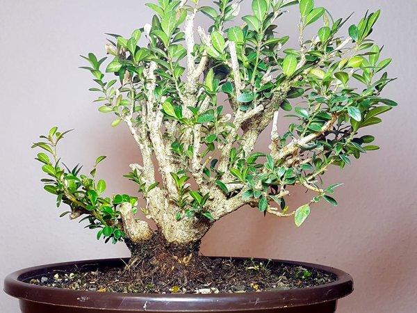 20161024_114230.jpg
