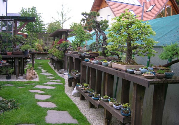 0515200614Bonsaigarten.jpg