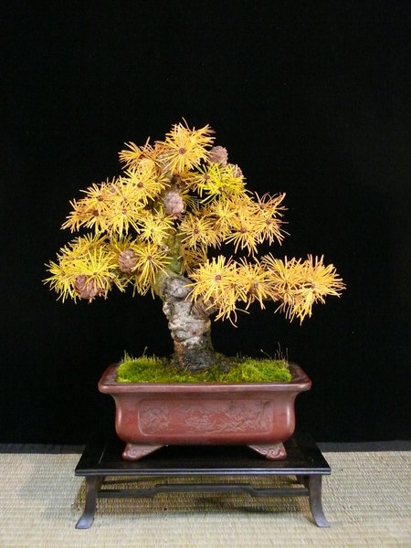 P1170769k.JPG