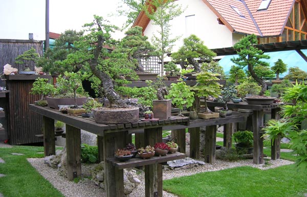 0515200605Bonsaigarten.jpg